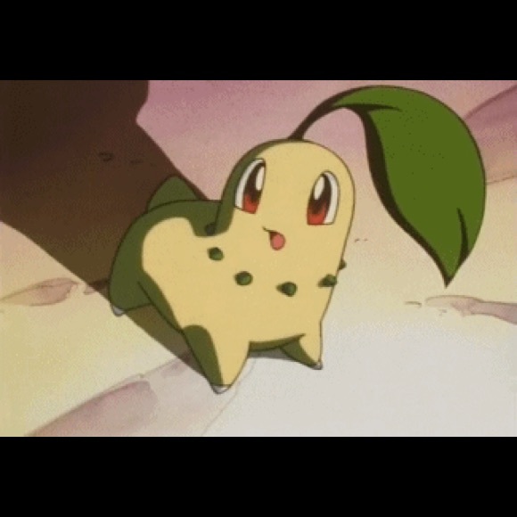 Meet your Posher, Dex - Picture 1 of 1